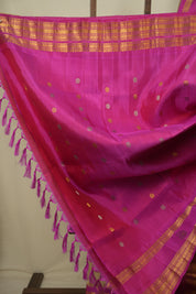 Beige Gadwal Silk Saree - SRBGSS663