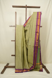 Sage Green Narayan Peth Cotton Saree - SRSGNPCS79