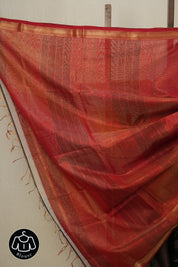 Two Tone Olive Green Maheshwari Tissue Saree - SRTTOGMTS599