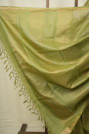 Green Embroidered Tussar Silk Saree -SRGETSS1584