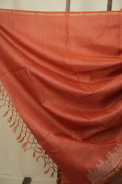 Orange Embroidered Tussar Silk Saree -SROETSS1581