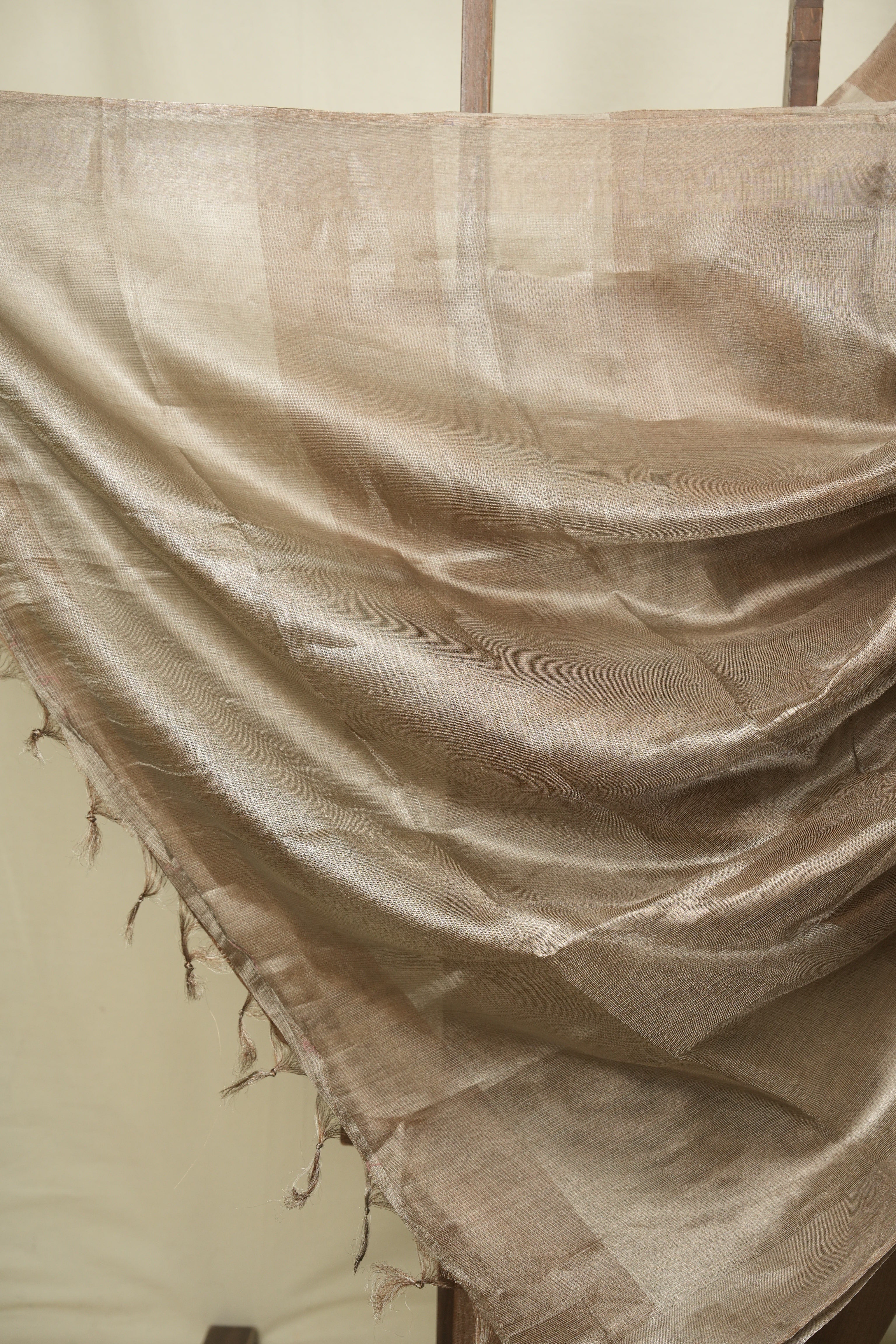 Brown Tissue Tussar Silk Saree - SRBTTSS615