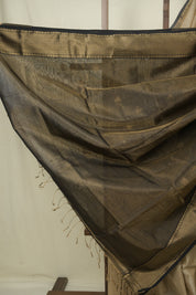 Beige Maheshwari Tissue Saree - SRBMTS752