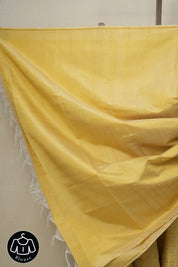 Pastel Yellow Raw Silk Saree - SRPYRSS772