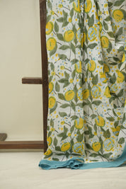 White HBP Chiffon Saree - SRWHCS71