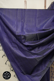 Navy Blue Raw Silk Saree - SRNBRSS857