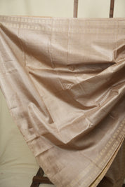 Beige Tussar Silk Saree - SRBTSS1956