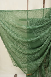 Sage Green HBP Chiffon Saree - SRSGHCS30