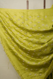 Neon Green Tussar Silk Saree - SRNGTSS1633