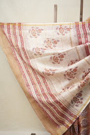 Light Brown HBP Cotton Silk Saree With Chanderi Border - SRLBCSS1371