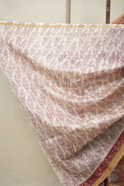 Light Brown HBP Cotton Silk Saree With Chanderi Border - SRLBCSS1371