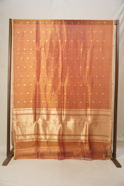 Two Tone Gold Tissue Banarasi Silk Saree - SRTTGTBSS007