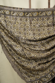Coffee Brown Modal Silk Saree -SRCBMSS754