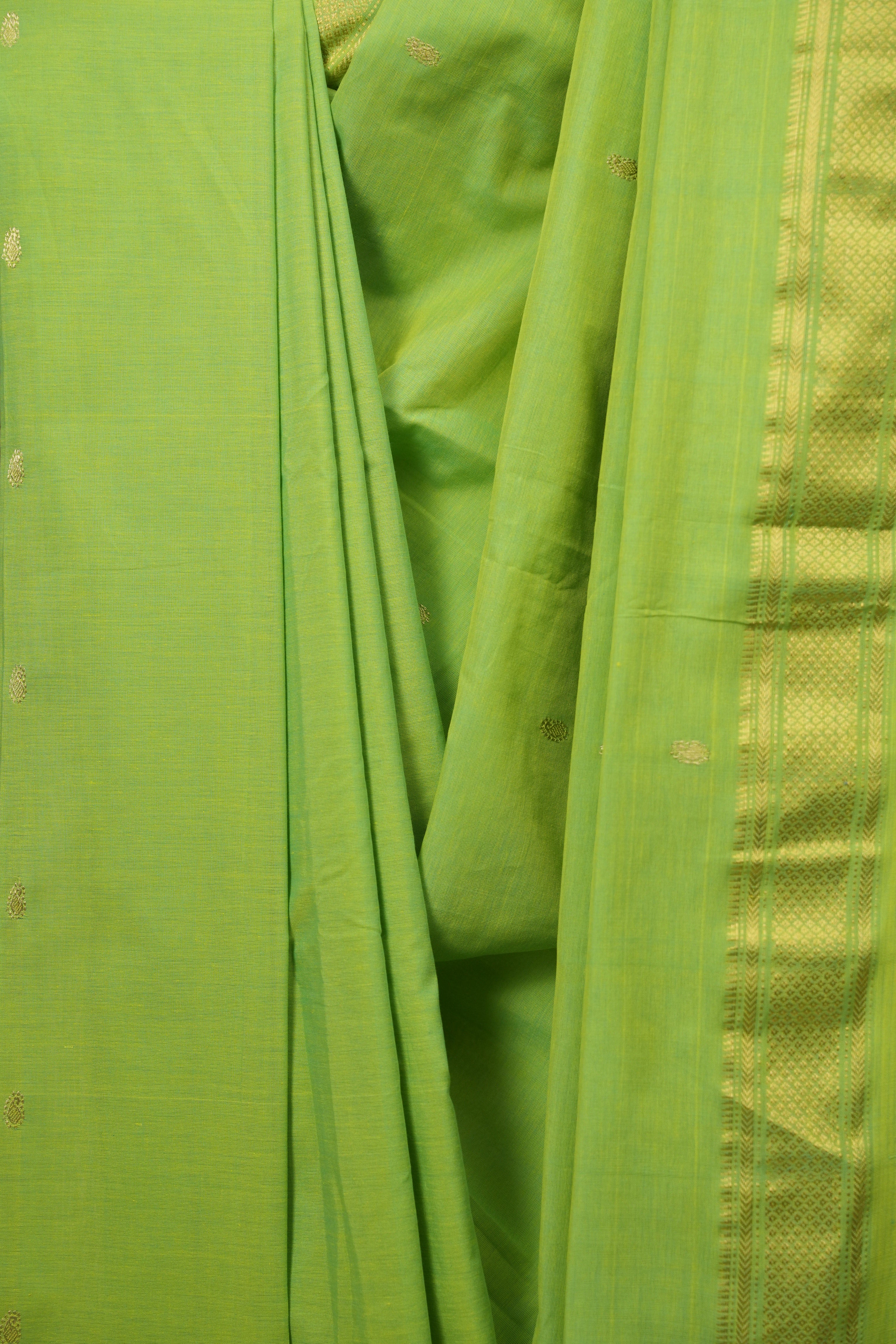 Pista Cotton Paithani Saree - SRPCPS795