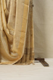Beige Sequin Tissue Tussar Silk Saree - SRBSTTSS514
