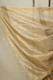 Beige Sequin Tissue Tussar Silk Saree - SRBSTTSS514