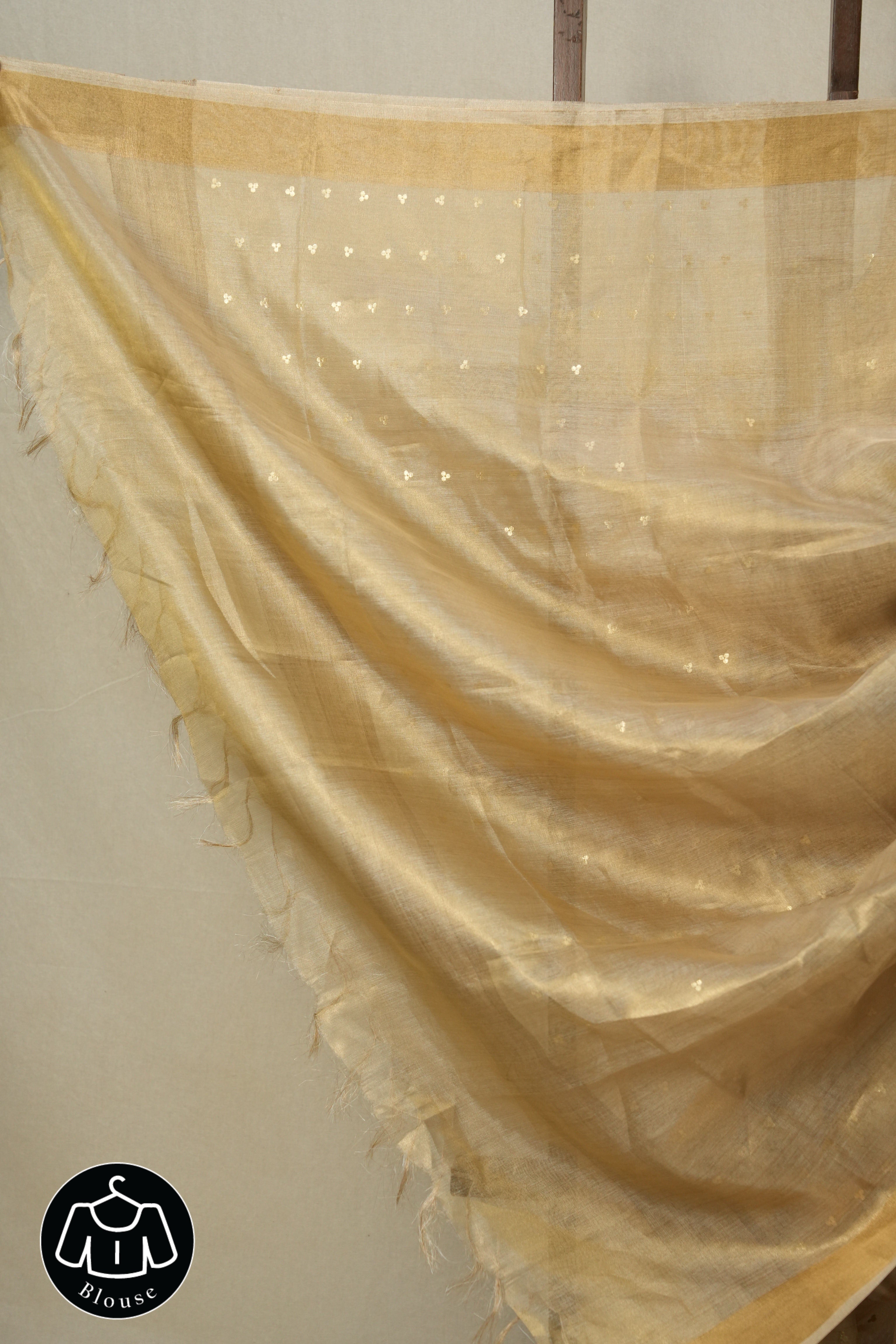 Beige Sequin Tissue Tussar Silk Saree - SRBSTTSS514