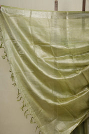 Silver Green Tissue Tussar Silk Saree - SRSGTTSS525