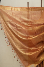 Red Gold Tissue Tussar Silk Saree - SRRGTTSS523