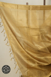 Golden Tissue Tussar Silk Saree - SRGTTSS522