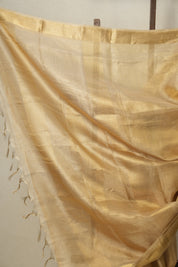 Yellow Gold Tissue Tussar Silk Saree - SRYGTTSS521