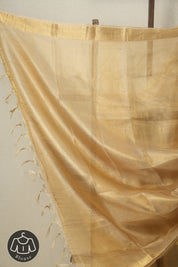 Yellow Gold Tissue Tussar Silk Saree - SRYGTTSS521