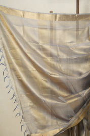 Blue Gold Tissue Tussar Silk Saree - SRBGTTSS519