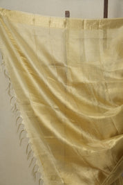 Cream-Gold Tissue Tussar Silk Saree - SRCGTTSS532