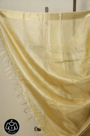 Cream-Gold Tissue Tussar Silk Saree - SRCGTTSS532