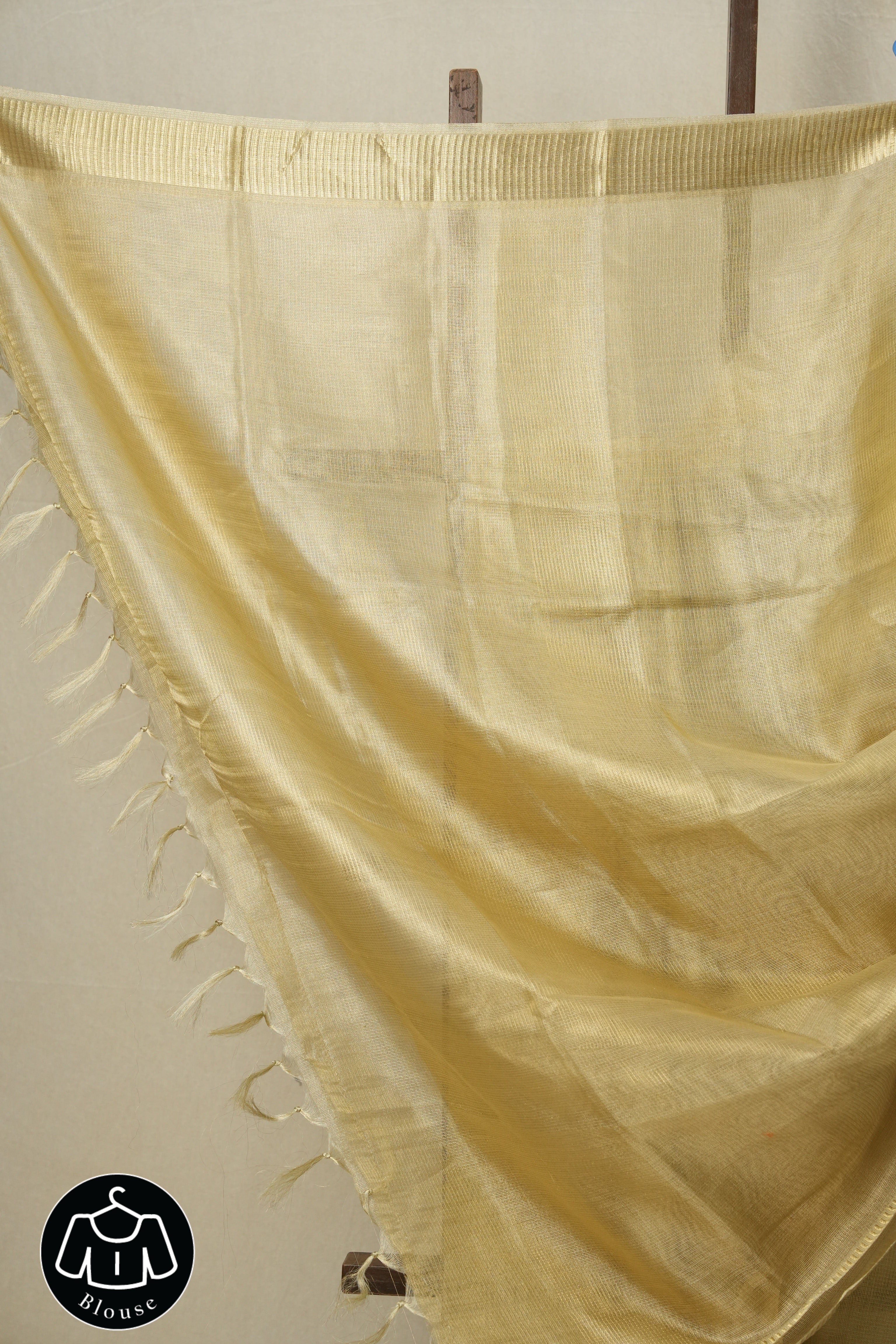 Cream-Gold Tissue Tussar Silk Saree - SRCGTTSS532