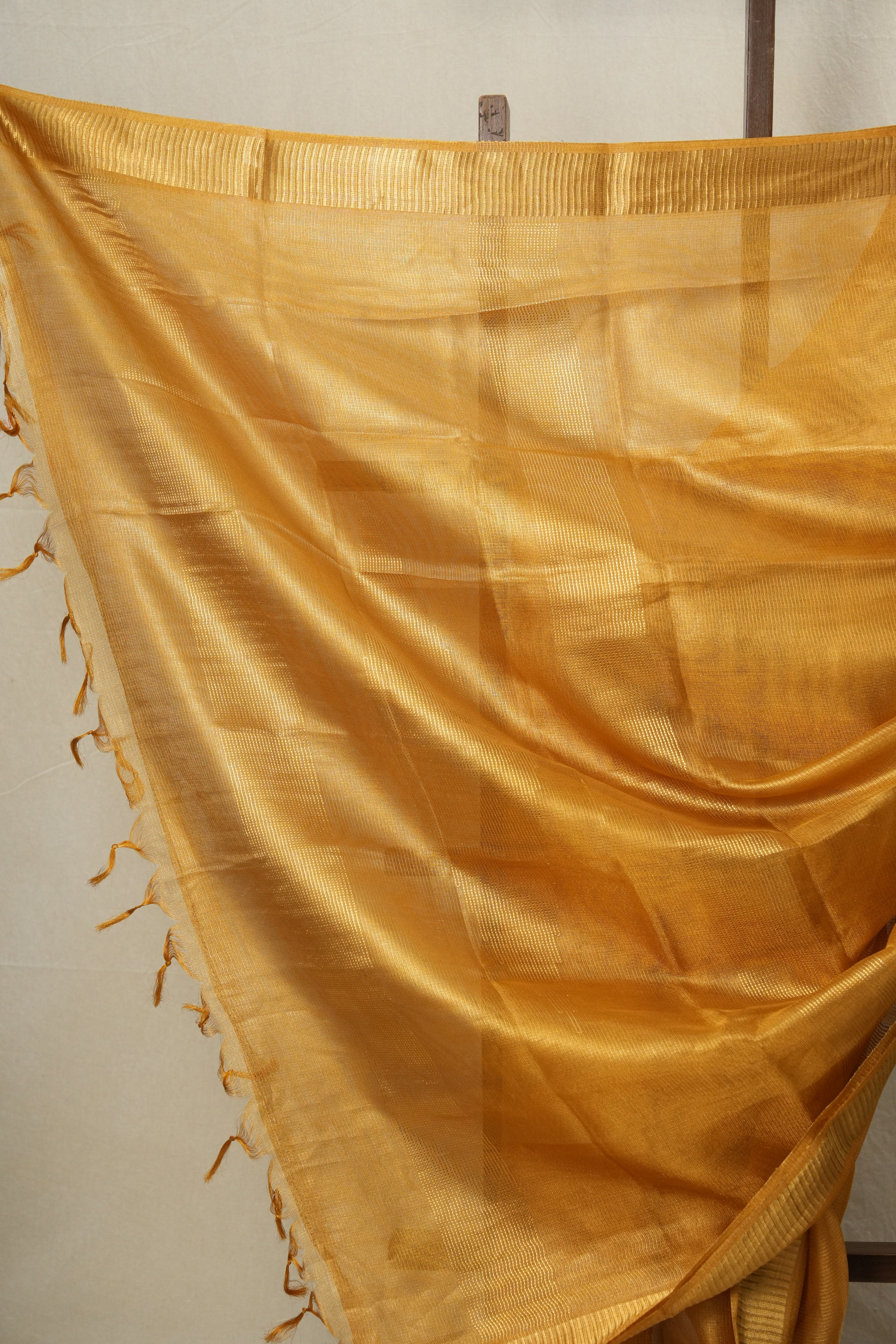 Orange-Gold Tissue Tussar Silk Saree - SROGTTSS531