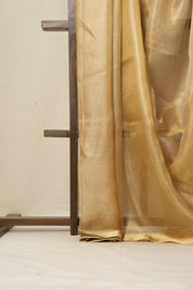 Beige Gold Tissue Tussar Silk Saree - SRBGTTSS536