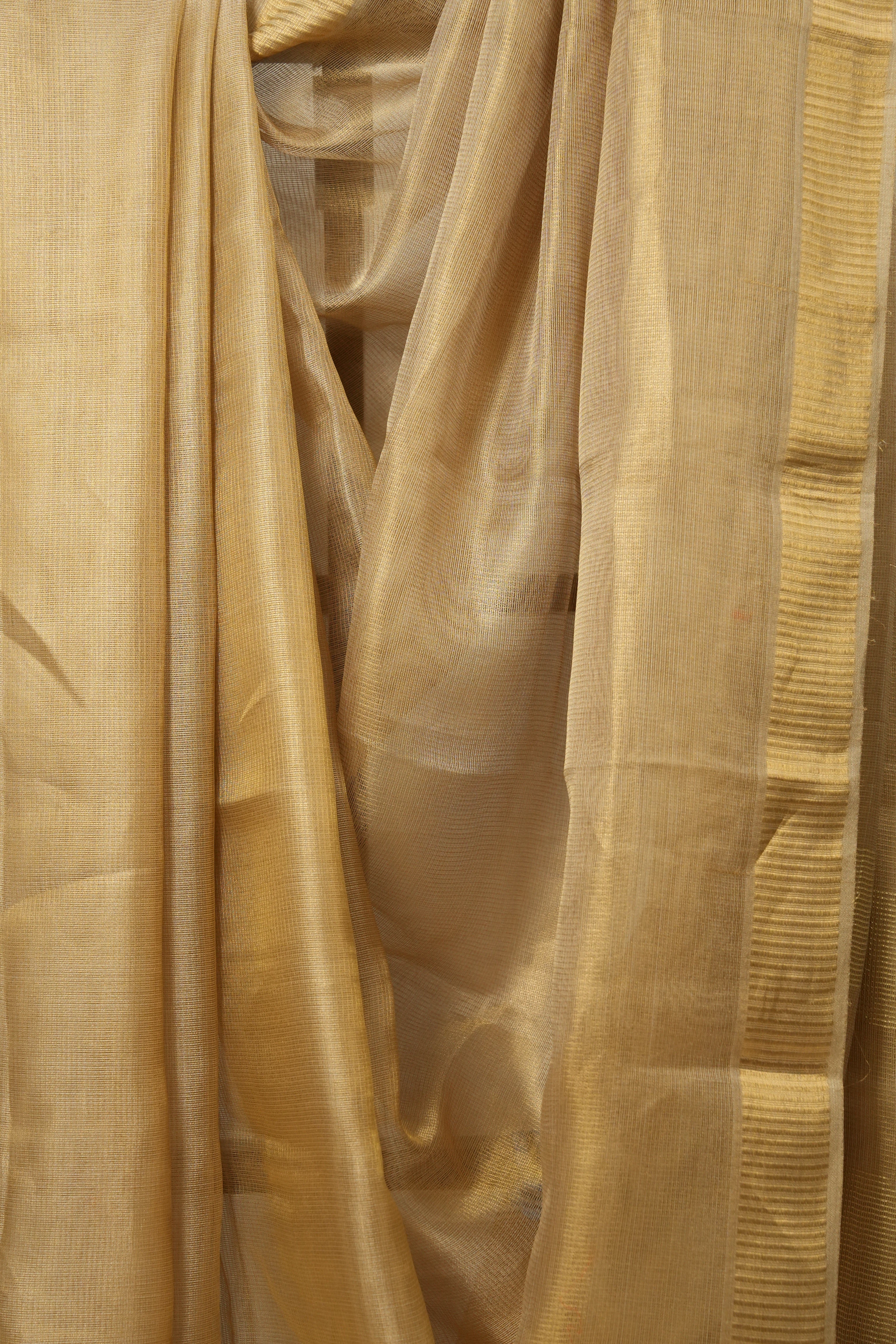 Beige Gold Tissue Tussar Silk Saree - SRBGTTSS536