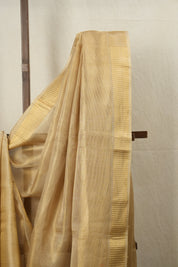 Beige Gold Tissue Tussar Silk Saree - SRBGTTSS536