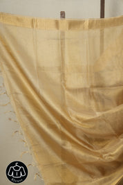 Beige Gold Tissue Tussar Silk Saree - SRBGTTSS536