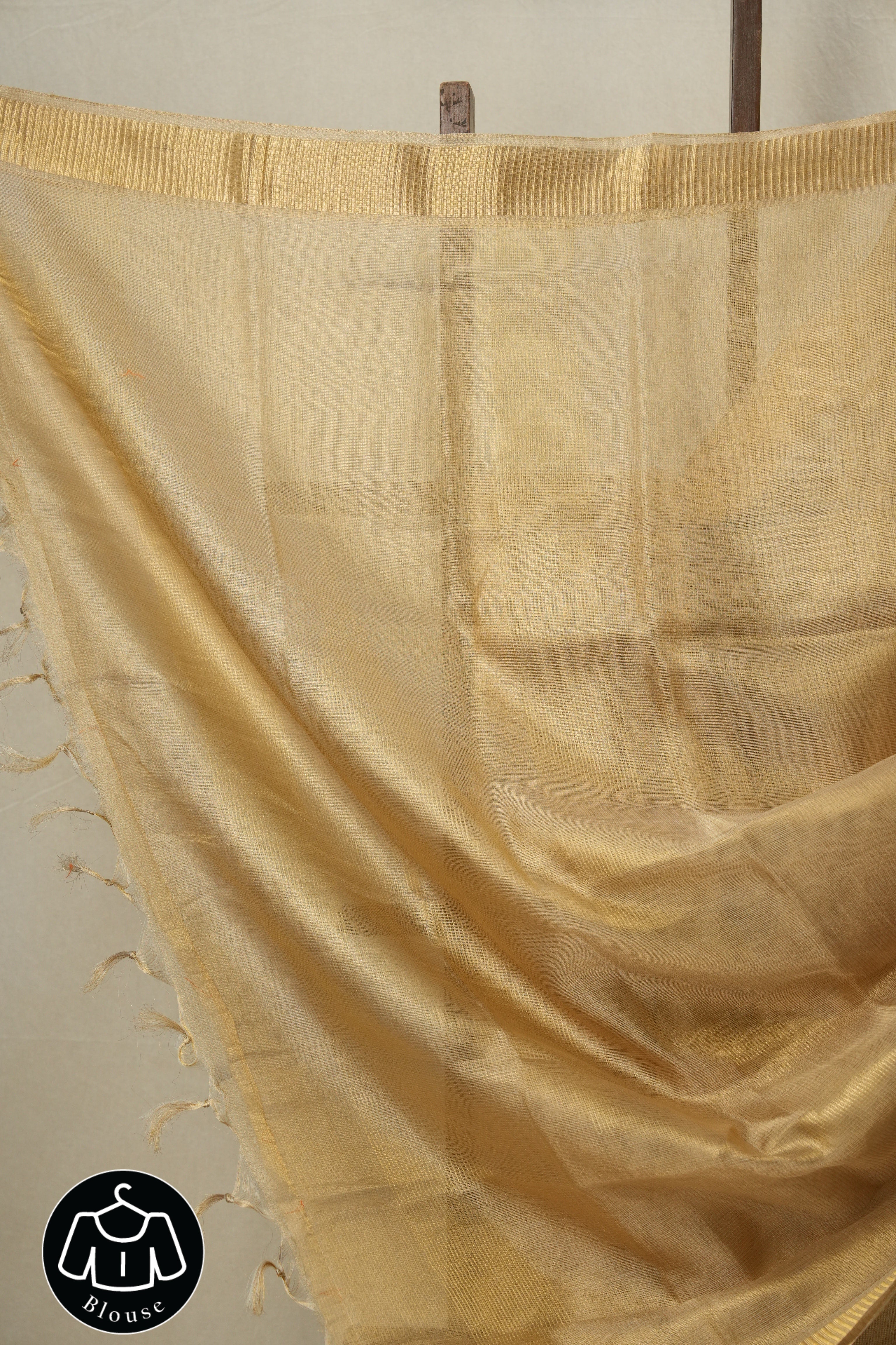 Beige Gold Tissue Tussar Silk Saree - SRBGTTSS536