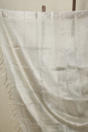 Silver Tissue Tussar Silk Saree - SRSTTSS537