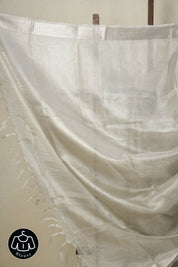 Silver Tissue Tussar Silk Saree - SRSTTSS537