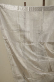 Silver Tissue Tussar Silk Saree - SRSTTSS527