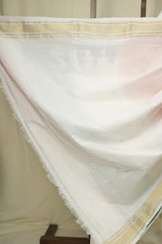 White Cotton Paithani Saree - SRWCPS755