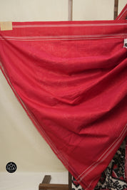 White Pochampalli Cotton Ikat Saree - SRWPCIS700