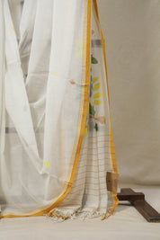 White Bengal Mul Cotton Saree - SRWBMCS023