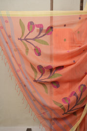 Coral Peach Bengal Mul Cotton Saree - SRCPBMCS018