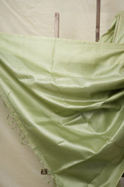 Mint Green Tussar Silk Saree - SRMGTSS1751