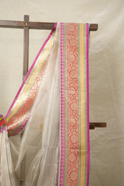 Golden Cream Tissue Banarasi Silk Saree - SRGCTBSS016