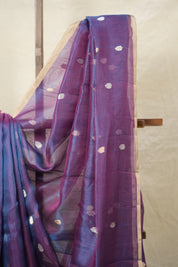 Blue-Rani Pink Tissue Banarasi Silk Saree - SRBRPTBSS29