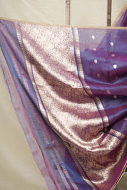 Blue-Rani Pink Tissue Banarasi Silk Saree - SRBRPTBSS29