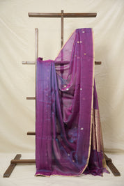 Blue-Purple Tissue Banarasi Silk Saree - SRBPTBSS30