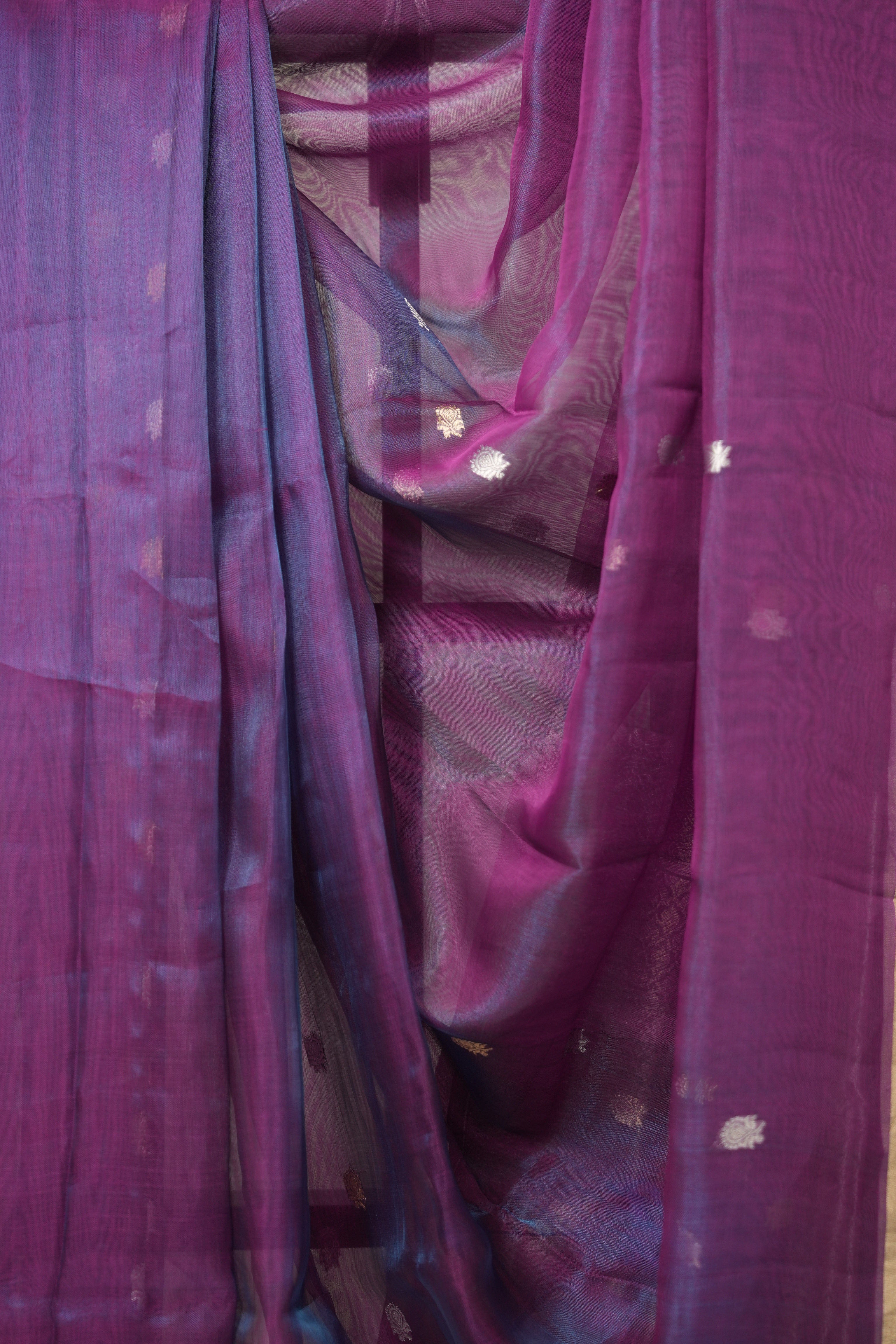 Blue-Purple Tissue Banarasi Silk Saree - SRBPTBSS30