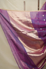 Blue-Purple Tissue Banarasi Silk Saree - SRBPTBSS30